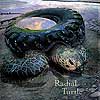 The radial turtle